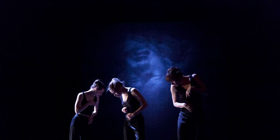 image - Le quatrième pas se fait dans la nuit - Compagnie Euphorbia & Anne-Sophie Lancelin / Brigittines