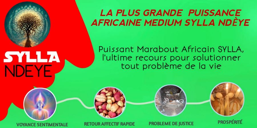 image - RETOUR D'AFFECTION EN 24 HEURES EN FRANCE, BELGIQUE, SUISSE, CANADA, GUADELOUPE/0022999105161
