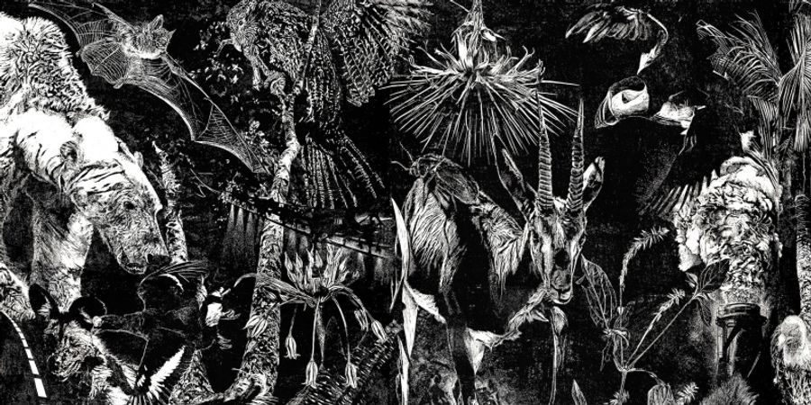 image - Atelier gravure expo Camille Dufour