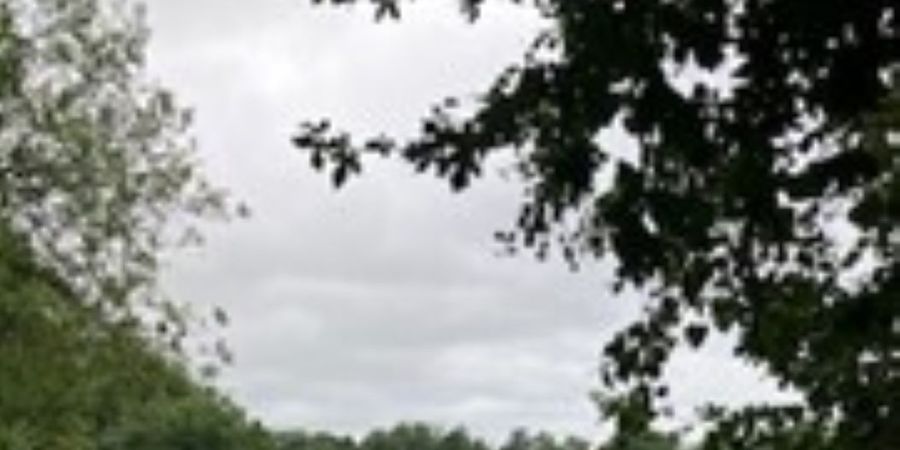 image - Marche de la Braderie