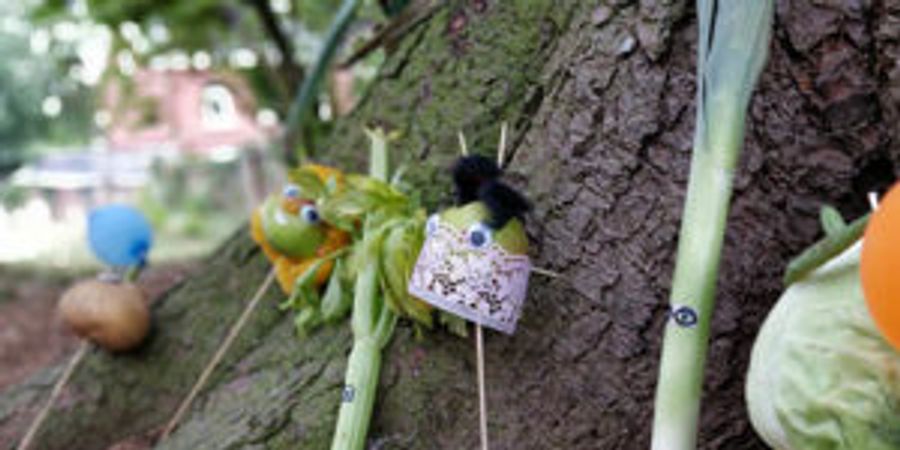 image - Stages d’été