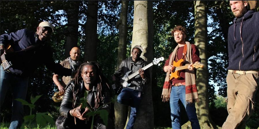image - Reggae Festival