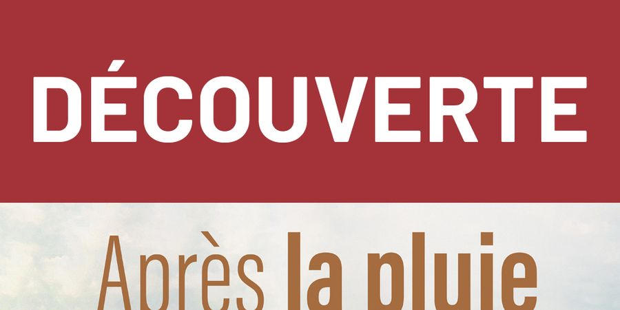image - Après la pluie