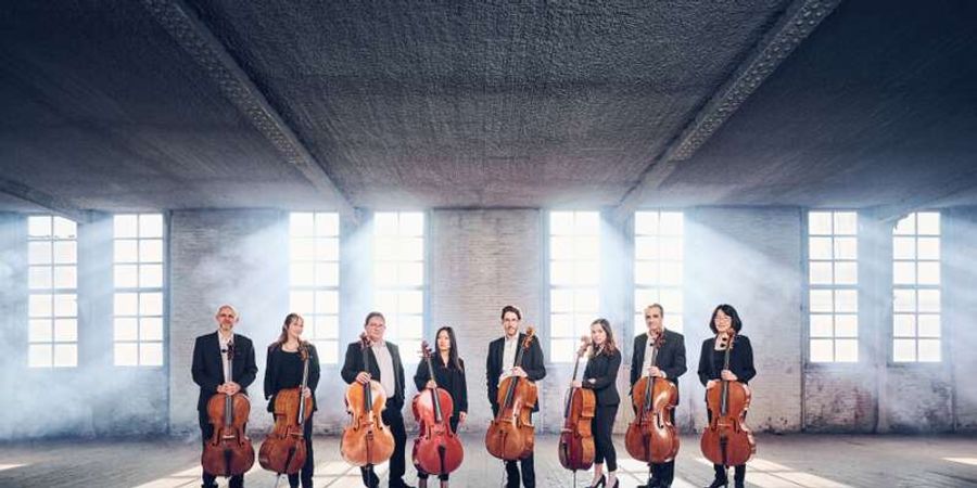 image - Acht celli voor het eerste Middagconcert!