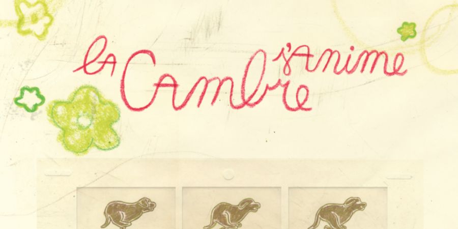 image - La Cambre s'Anime 2024 | 19h + 21h