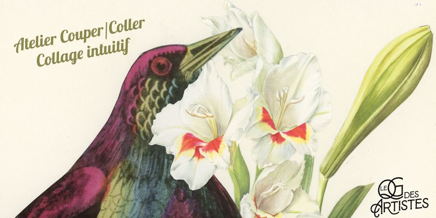 image - Atelier Couper/Coller : collage intuitif