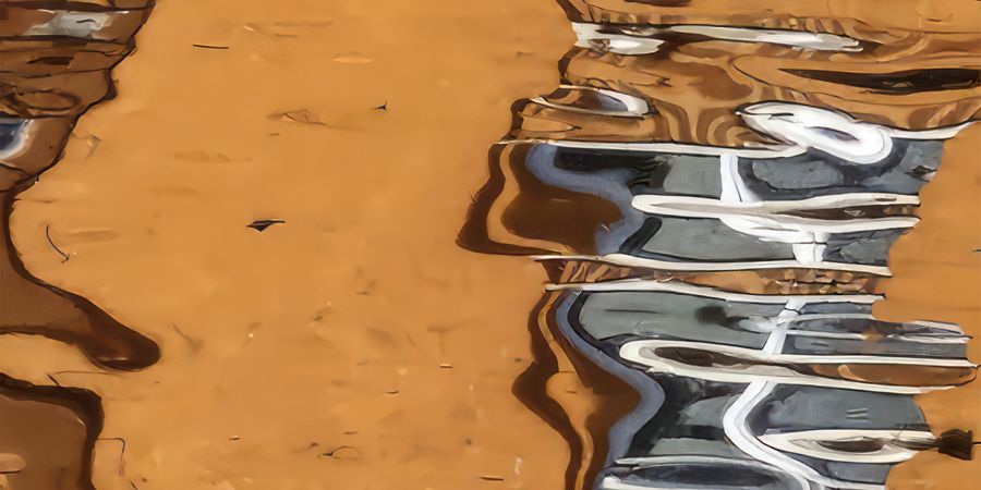 image - Darwin 15 presents Reflexions