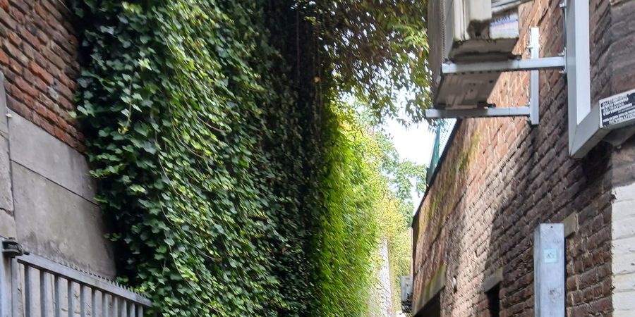 image - A la recherche des remparts de la rive gauche de Liège