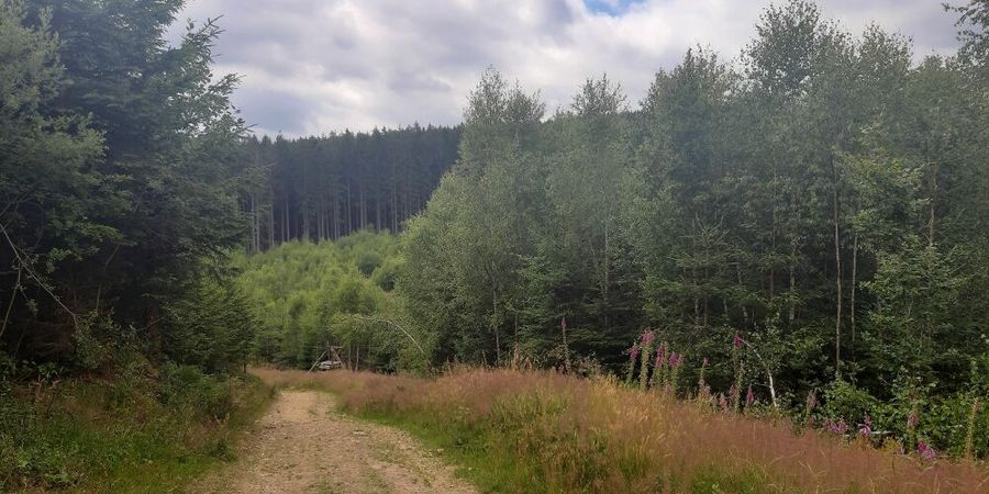 image - Trou de Bra et la vallée de la Lienne 