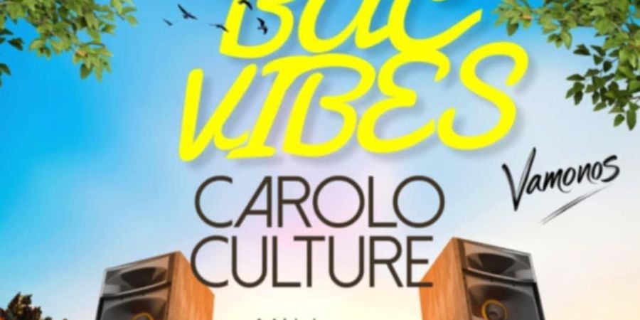 image - BAC VIBES Live - Entrée gratuite ! Deep house - tech house - disco funk