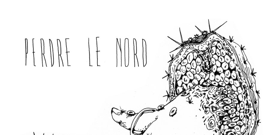 image - Ecoute collective/Podcast : Perdre le Nord – paroles de métisses, entre héritage et lutte