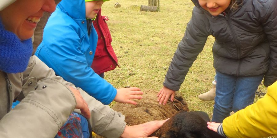 image - Stage à la Ferme pour les 6-8 ans