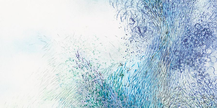 image - poussières de gommes