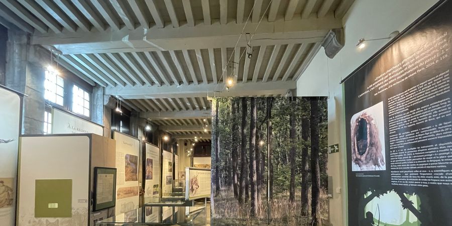 image - Visite du dimanche : exposition temporaire 'Avoir sa peau'