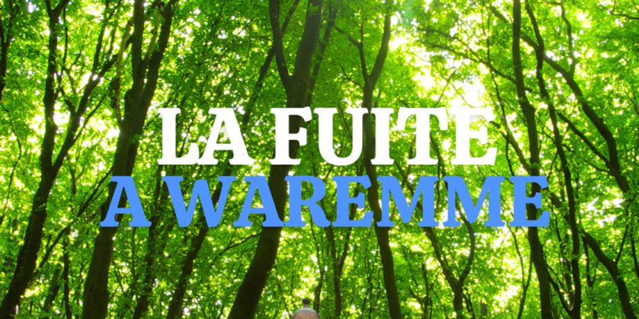 image - La fuite à Waremme