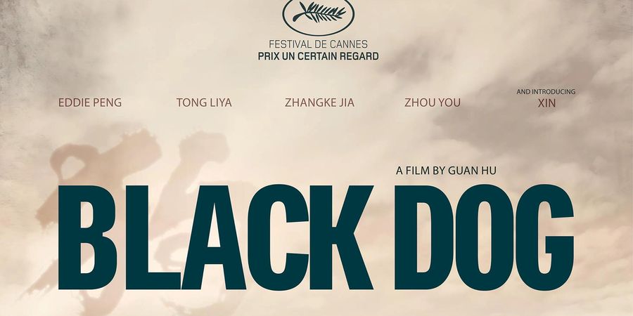 image - BLACK DOG