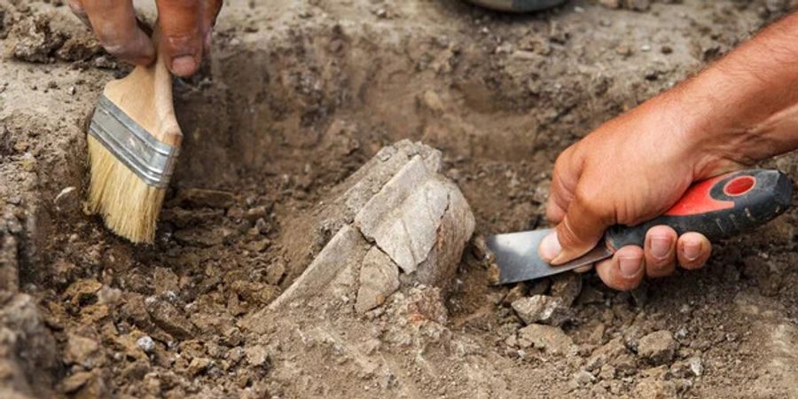 image - Exposition « L’archéologie, du chantier au musée »