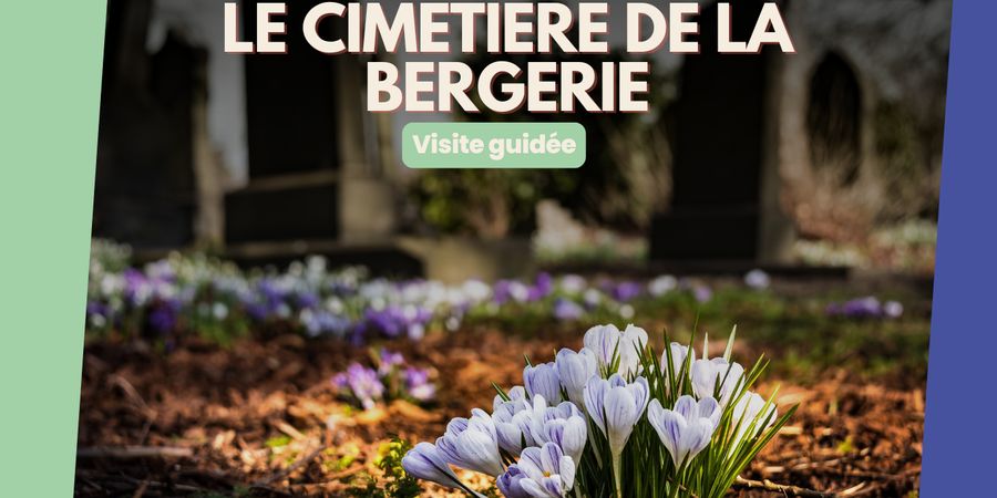 image - Visite insolite au cimetière de la Bergerie