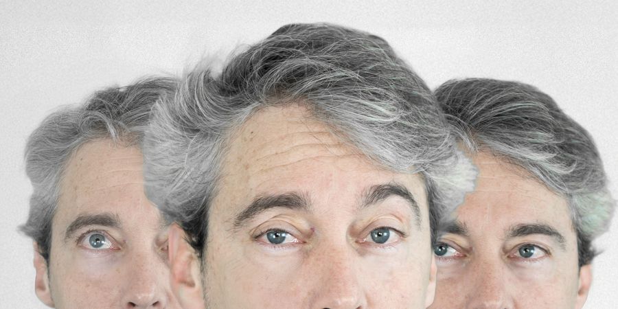 image - L'embarras du choix