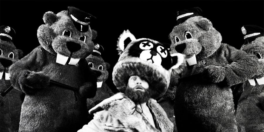 image - CULT@KLAPPEI: HUNDREDS OF BEAVERS