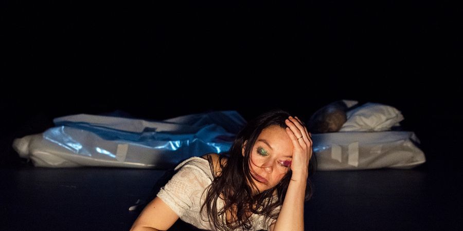 image - Prémisse - Thi-Mai Nguyen