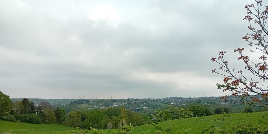 image - Balade nature à Jupille, d'une colline à l'autre