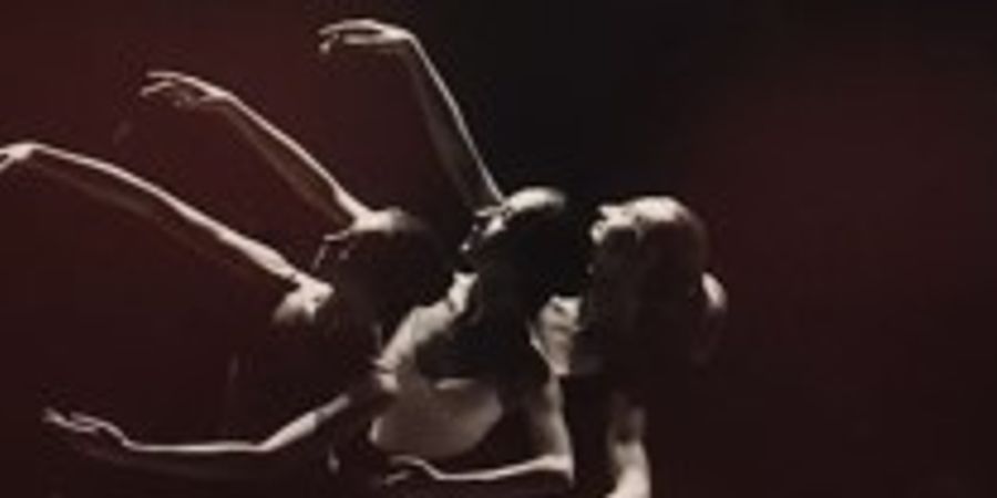 image - École de danse LADSCHOOL à Assesse et à Ciney