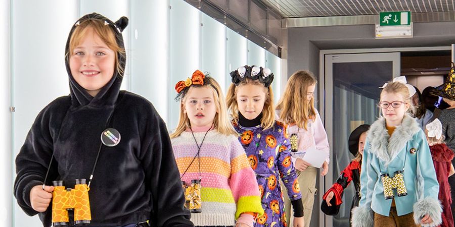 image - Zin in een halloweensafari in het Vlaams Parlement?