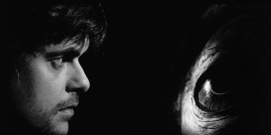 image - Werckmeister Harmonies - Béla Tarr