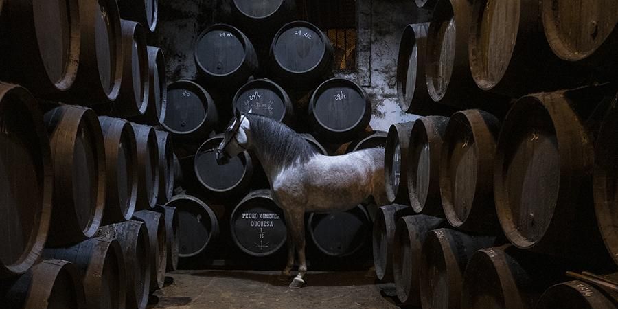 image - Siete Jereles - Pedro G. Romero & Gonzalo García Pelayo