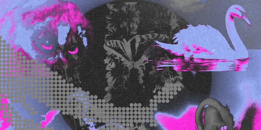 image - braindance_2025