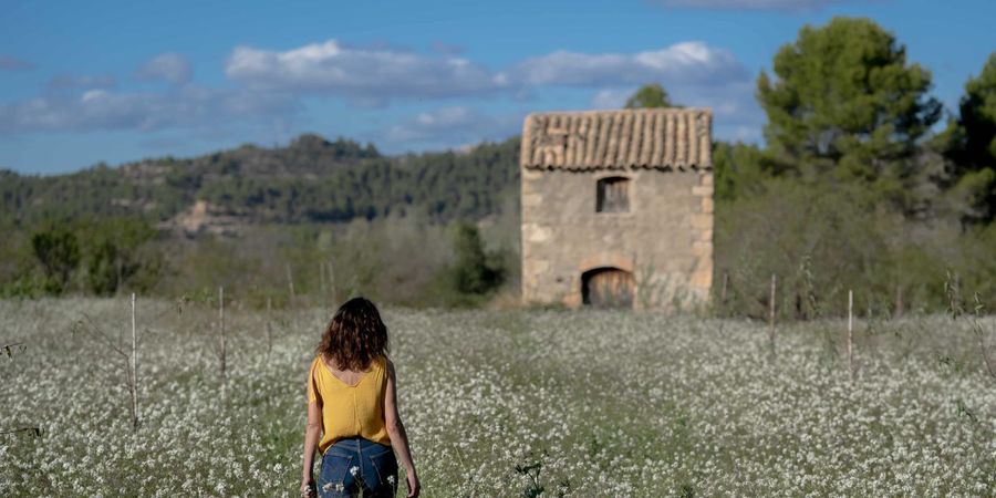 image - Los Destellos - Pilar Palomero