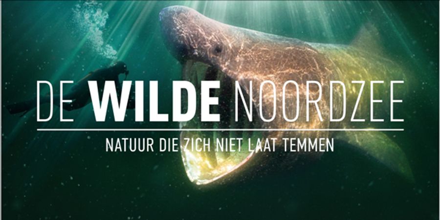 image - CinéZ; De wilde Noordzee