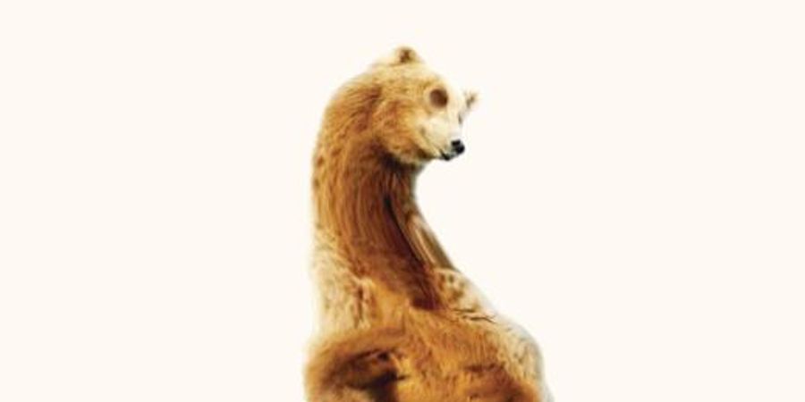 image - Fauves | Next Opera Days