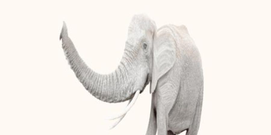 image - Fanto & Lou - spectacle familial | Next Opera Days