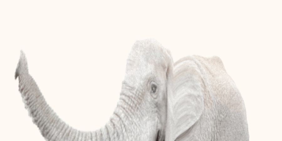 image - Fanto & Lou - spectacle familial | Next Opera Days