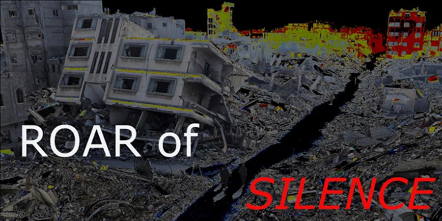 image - Internationale Dag van Solidariteit met het Palestijnse Volk: The Roar of Silence - Het Gebrul van de Stilte