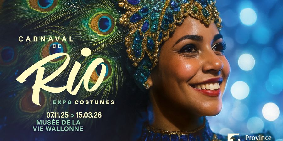 image - Carnaval de Rio - Expo costumes
