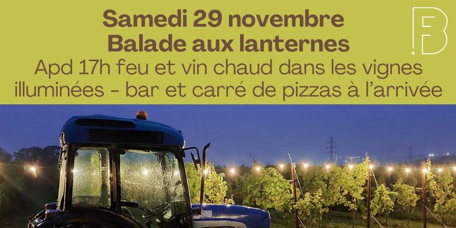 image - Balade aux lanternes dans les vignes illuminées de Beaufays