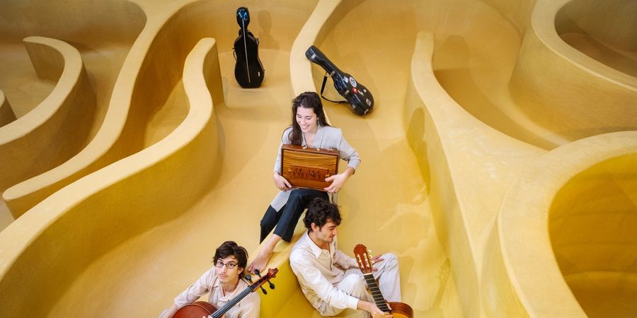 image - Peixe e Limão