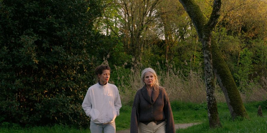 image - Vous êtes ici de Lazare Gousseau