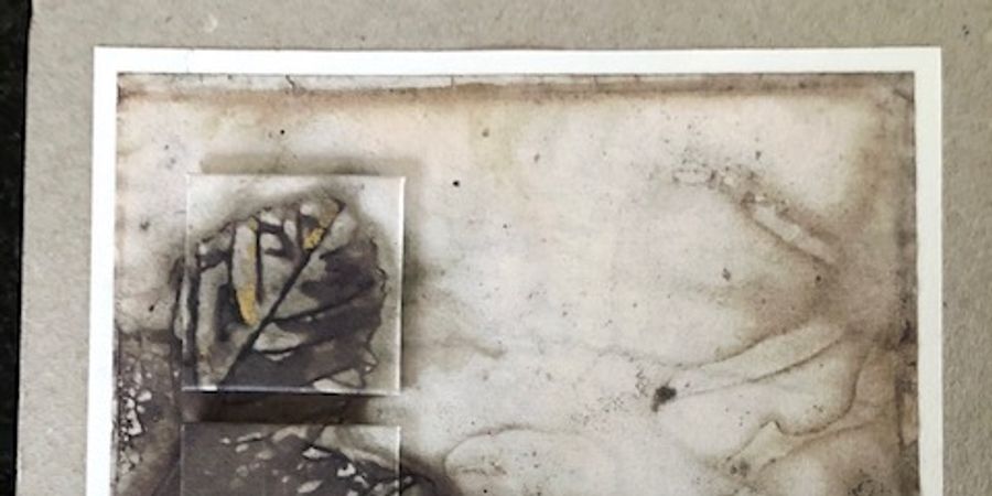 image - Stage de calligraphie : Ingrid Depoover – Impressions botaniques : Ecoprint & calligraphie