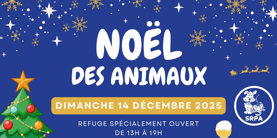 image - Noël des Animaux