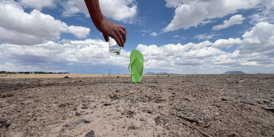 image - Honoré δ’O. Quarantaine−Quarantine 40 jours dans le désert