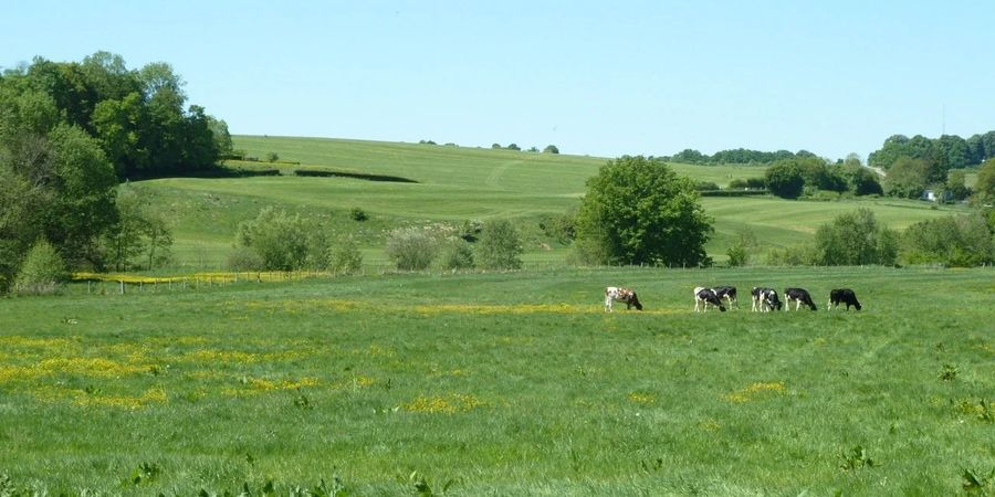 image - Balade autour de Valkenburg / Fauquemont et Schin op Geul (Pays-Bas) 
