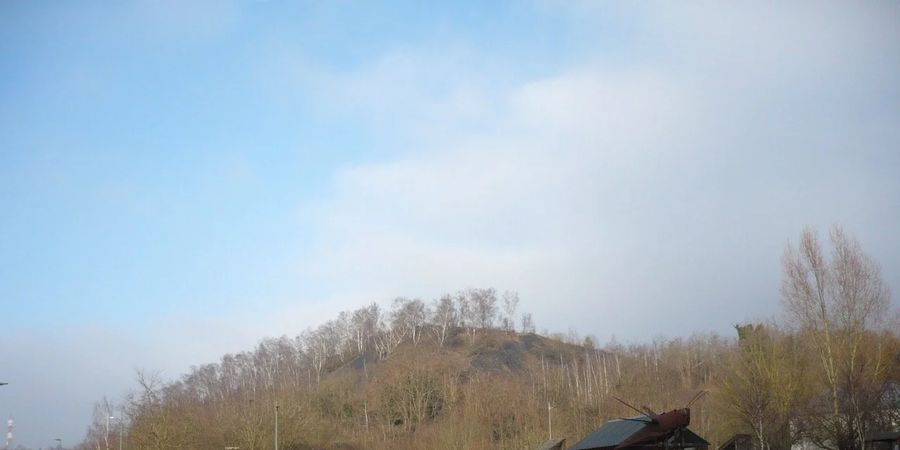 image - Découvertes du Terril du Gosson de Saint-Nicolas