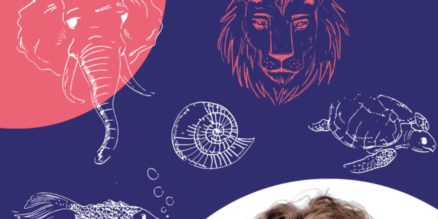 image - Le carnaval des animaux