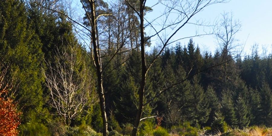 image - La Fagne des Anomalies