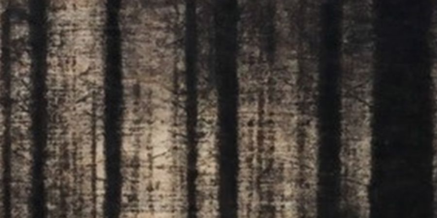 image - Dessin au fusain