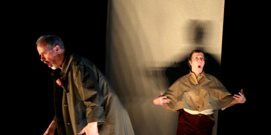 image - Le canard, la mort et la tulipe